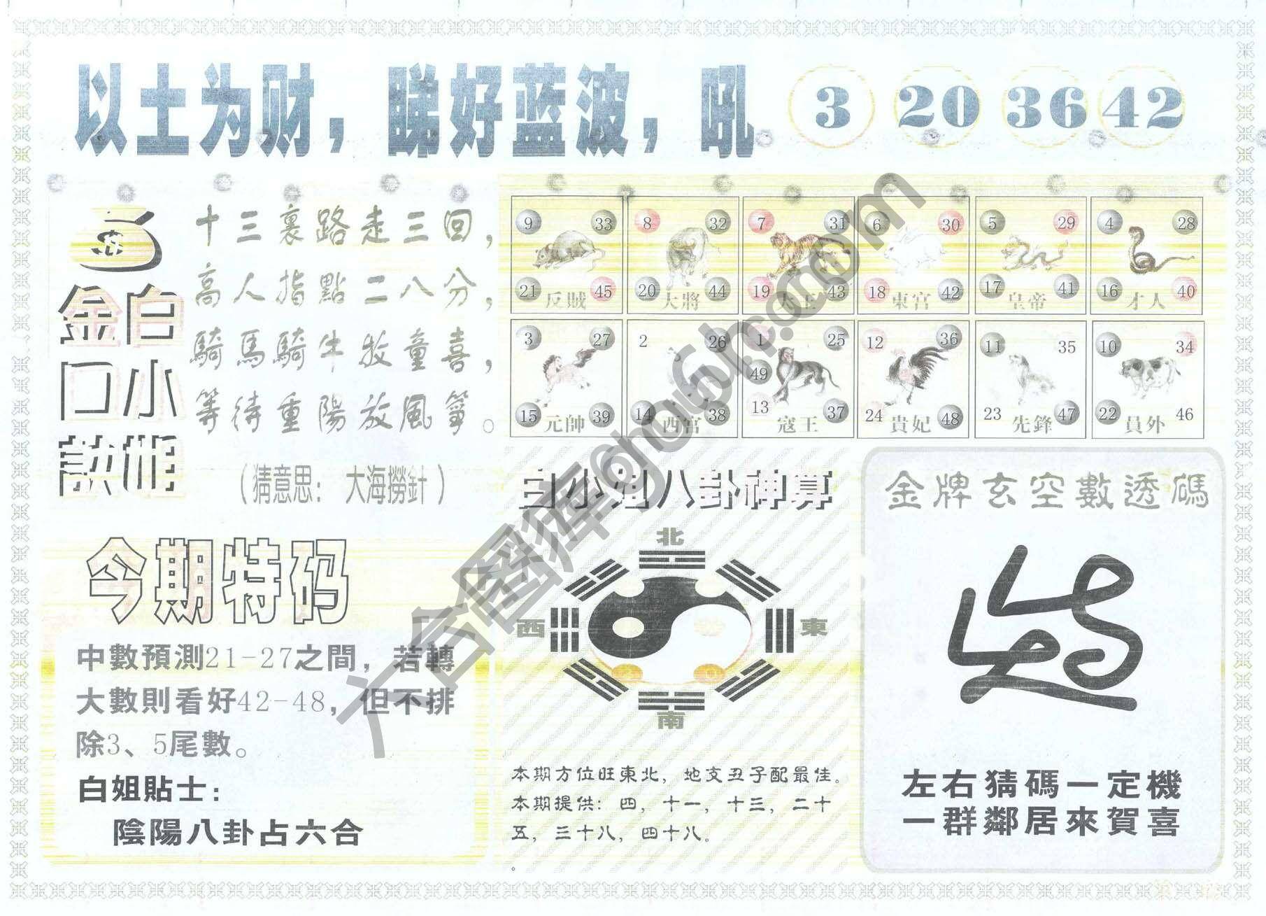 白姐内幕