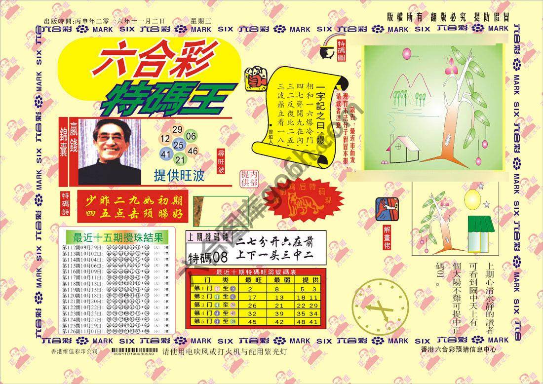 特码王