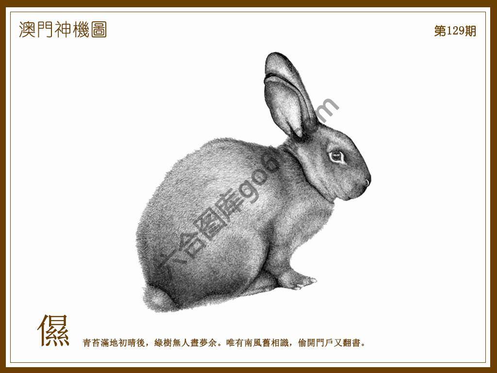 澳门神机图