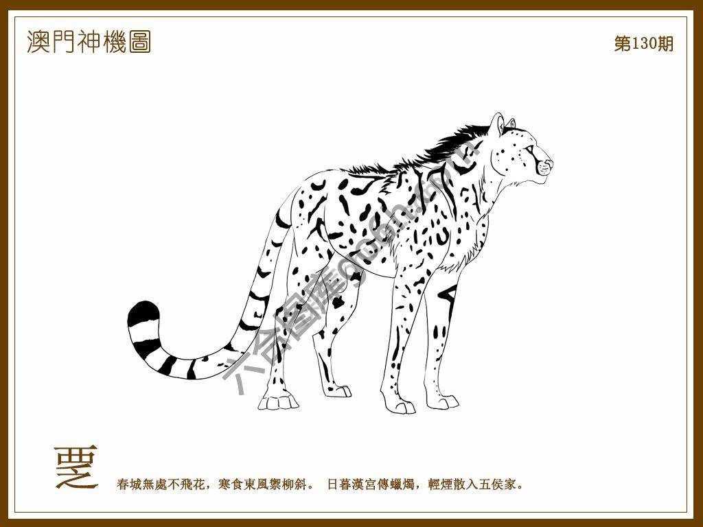 澳门神机图