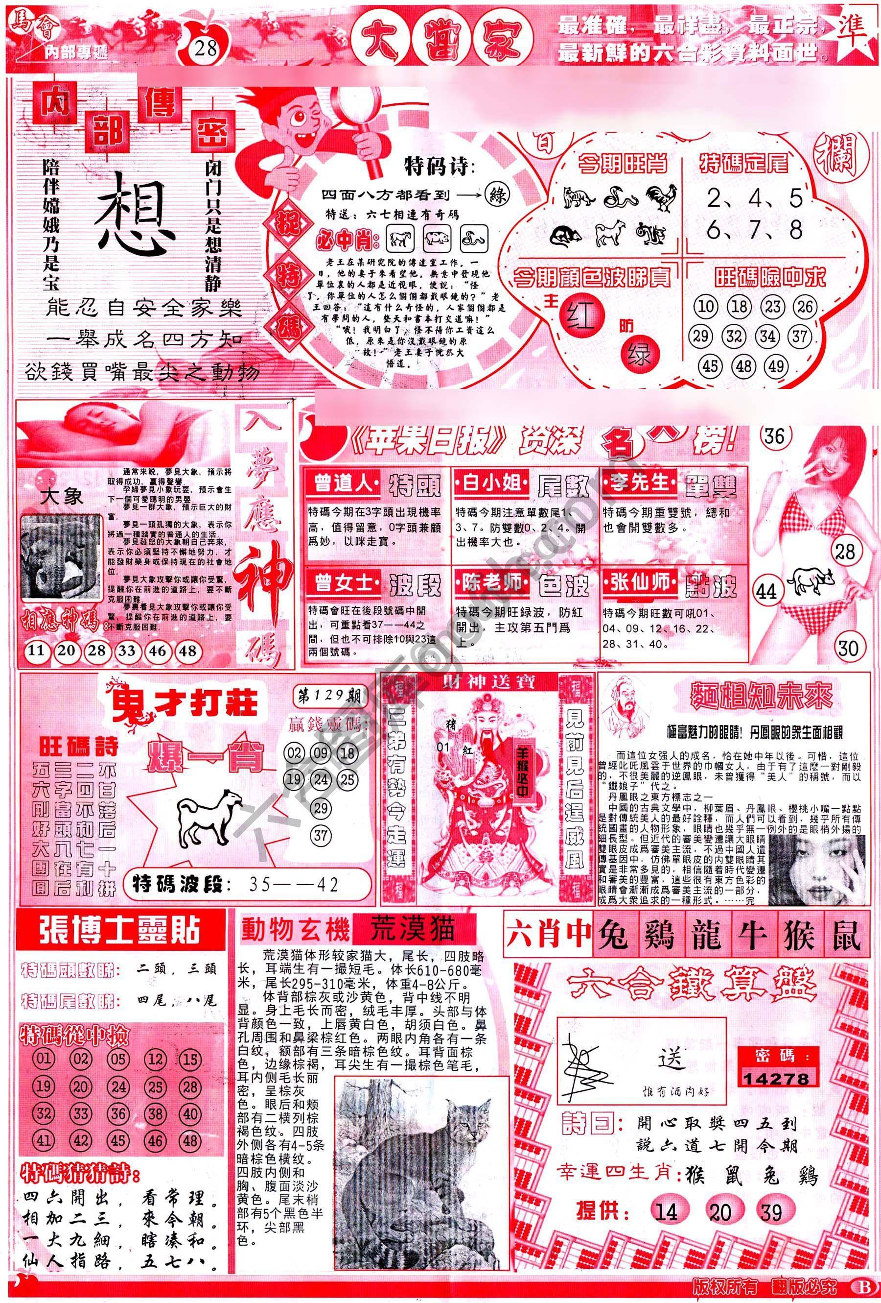 大当家