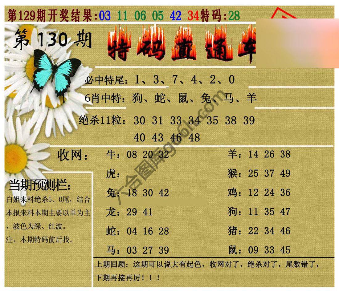 特码直通车