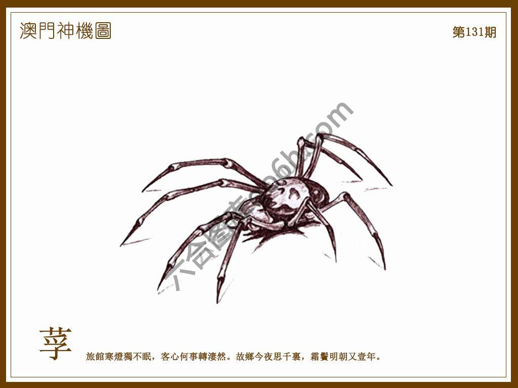 澳门神机图