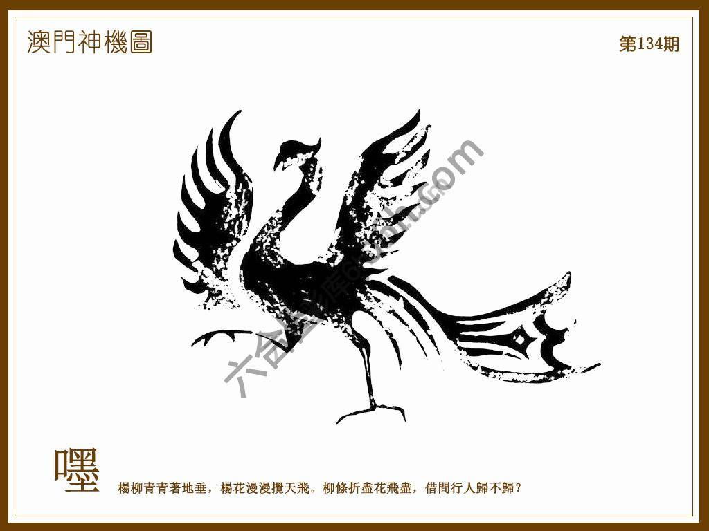 澳门神机图