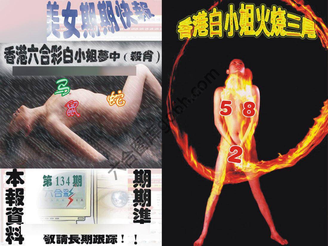 环球美女特码报
