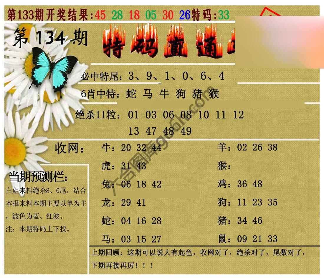 特码直通车