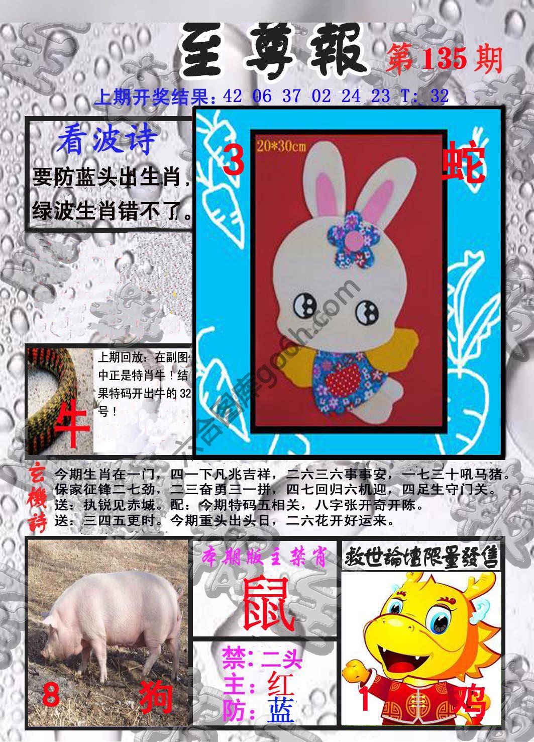 至尊报