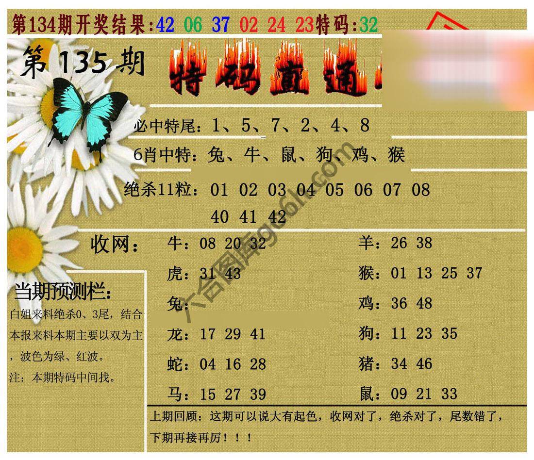 特码直通车