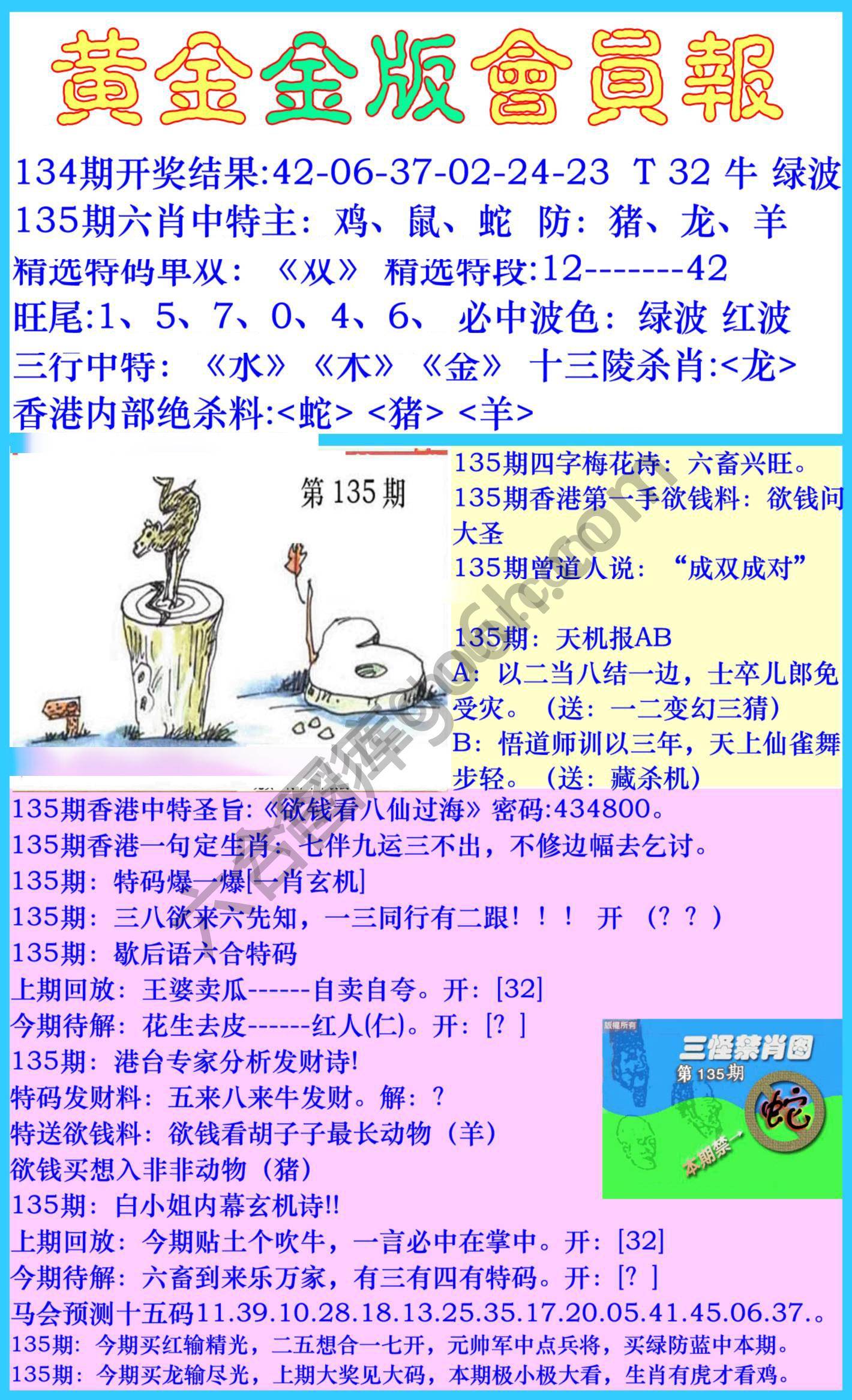 黄金金版会员报