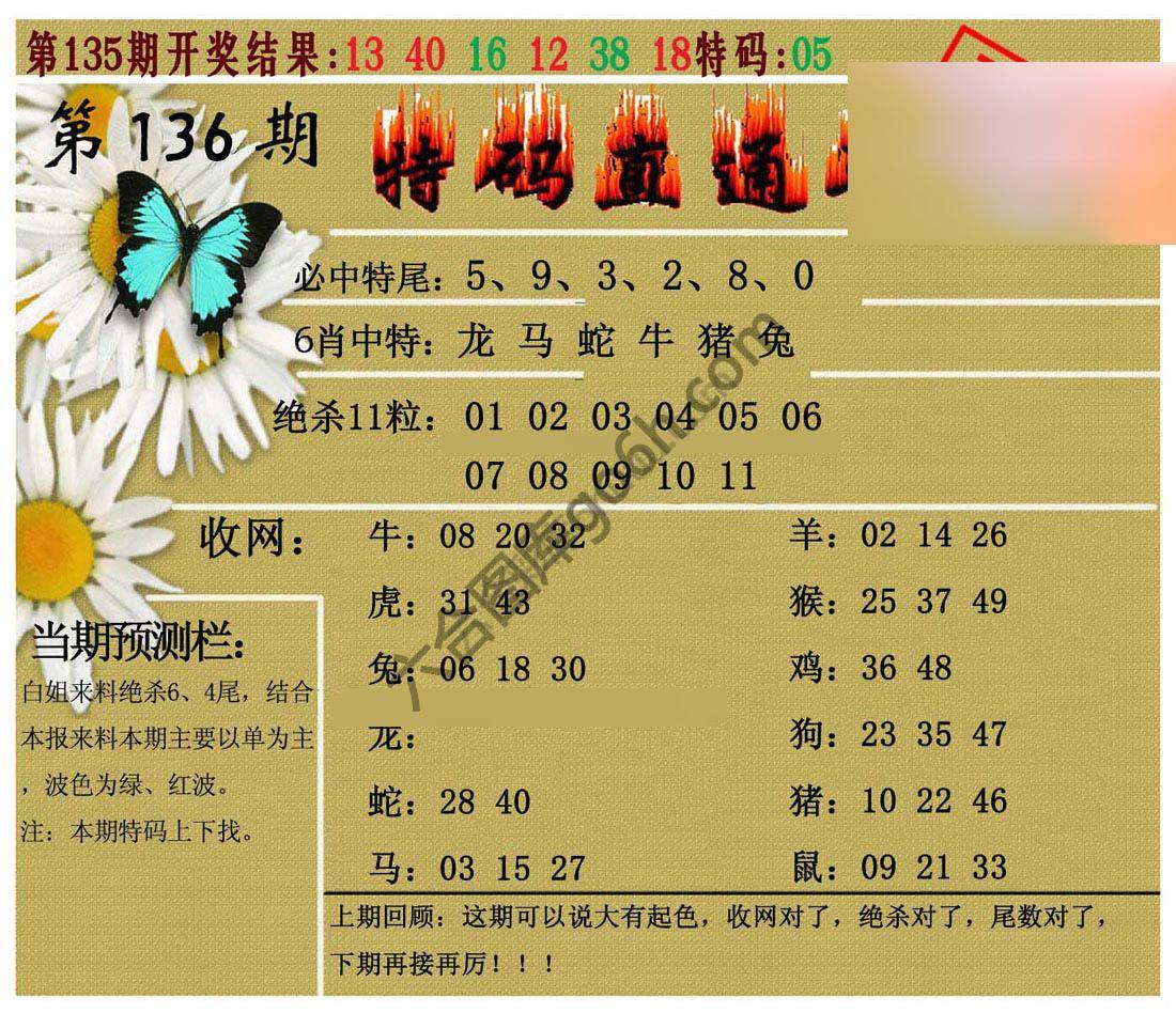 特码直通车