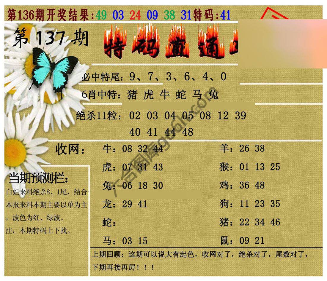 特码直通车