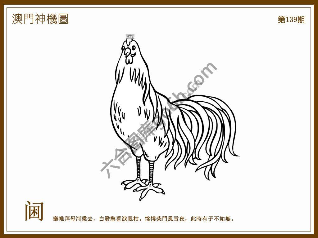 澳门神机图