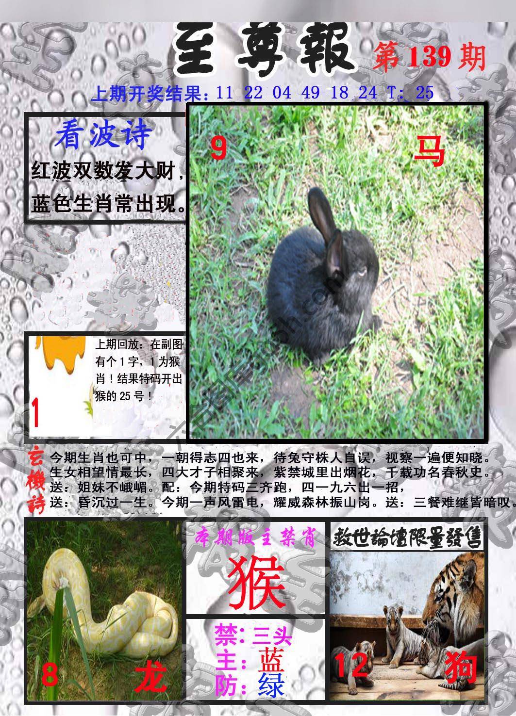 至尊报