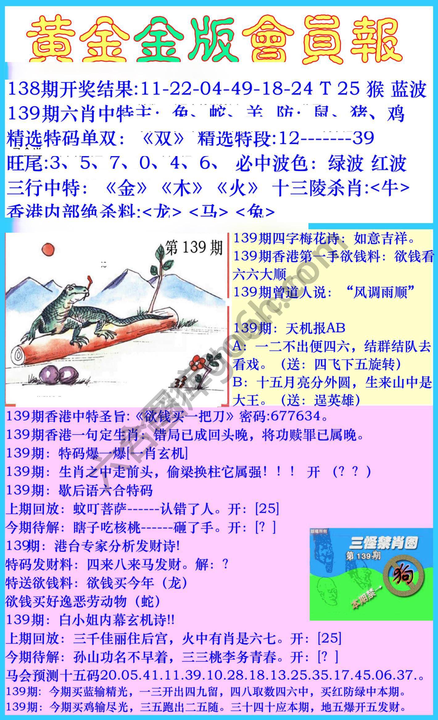 黄金金版会员报