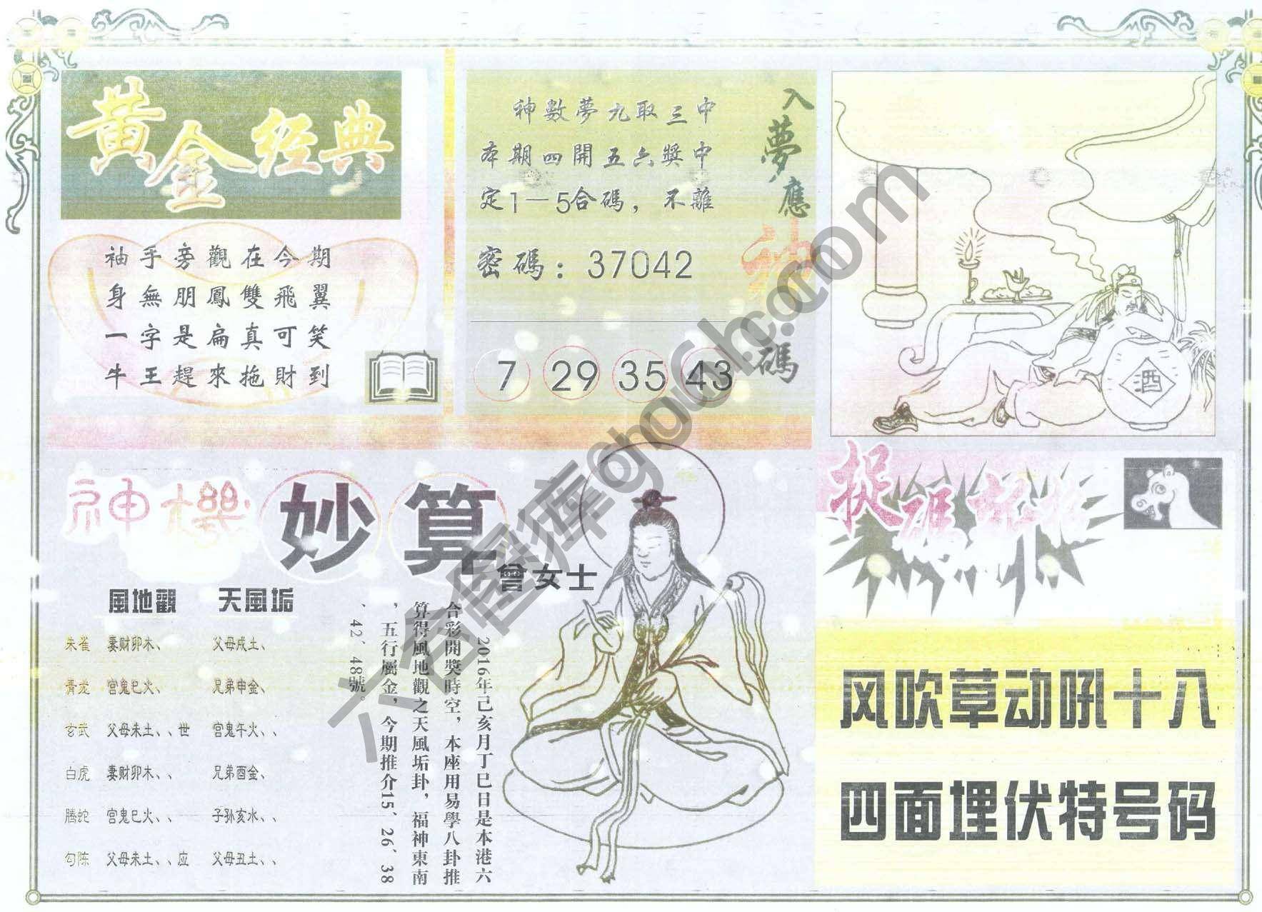 老版曾女士