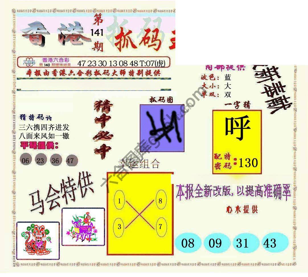 新抓码王