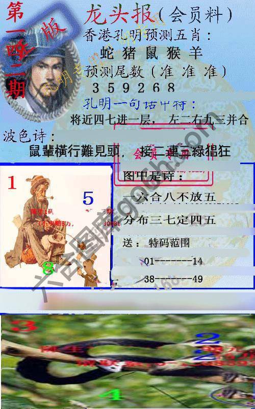 龙头报