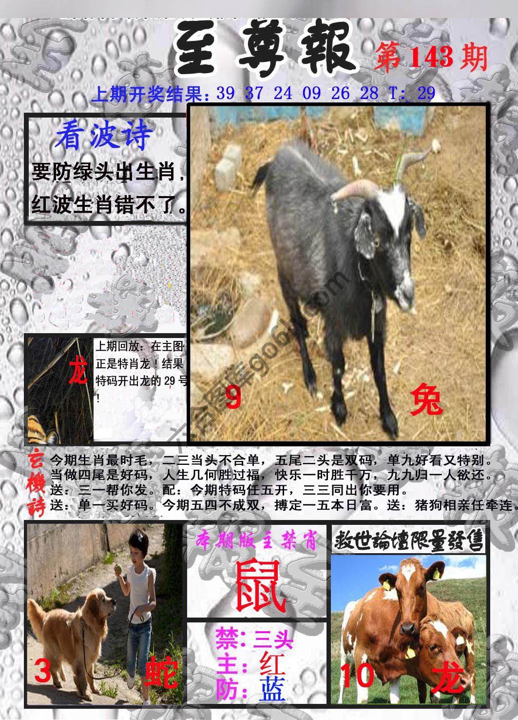 至尊报