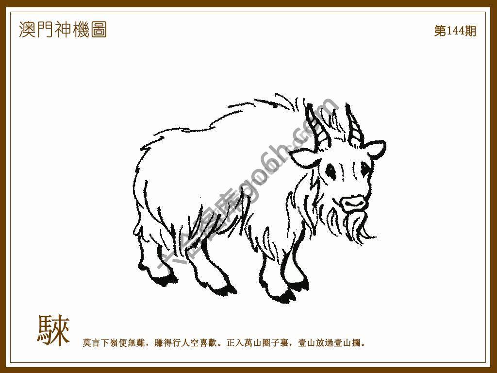 澳门神机图