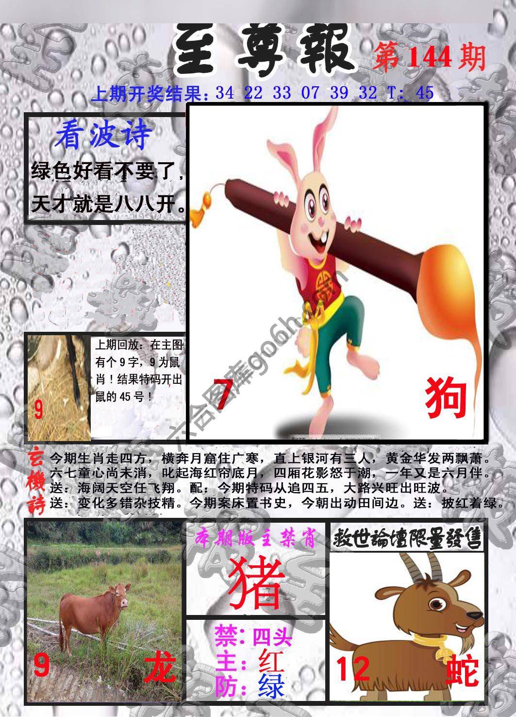 至尊报