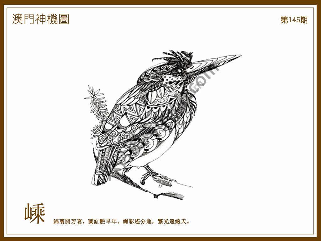 澳门神机图