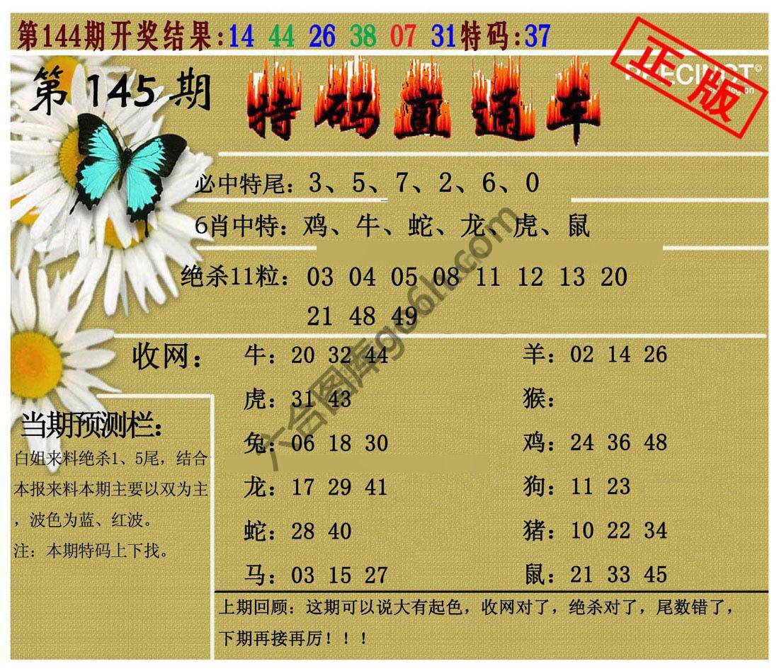 特码直通车