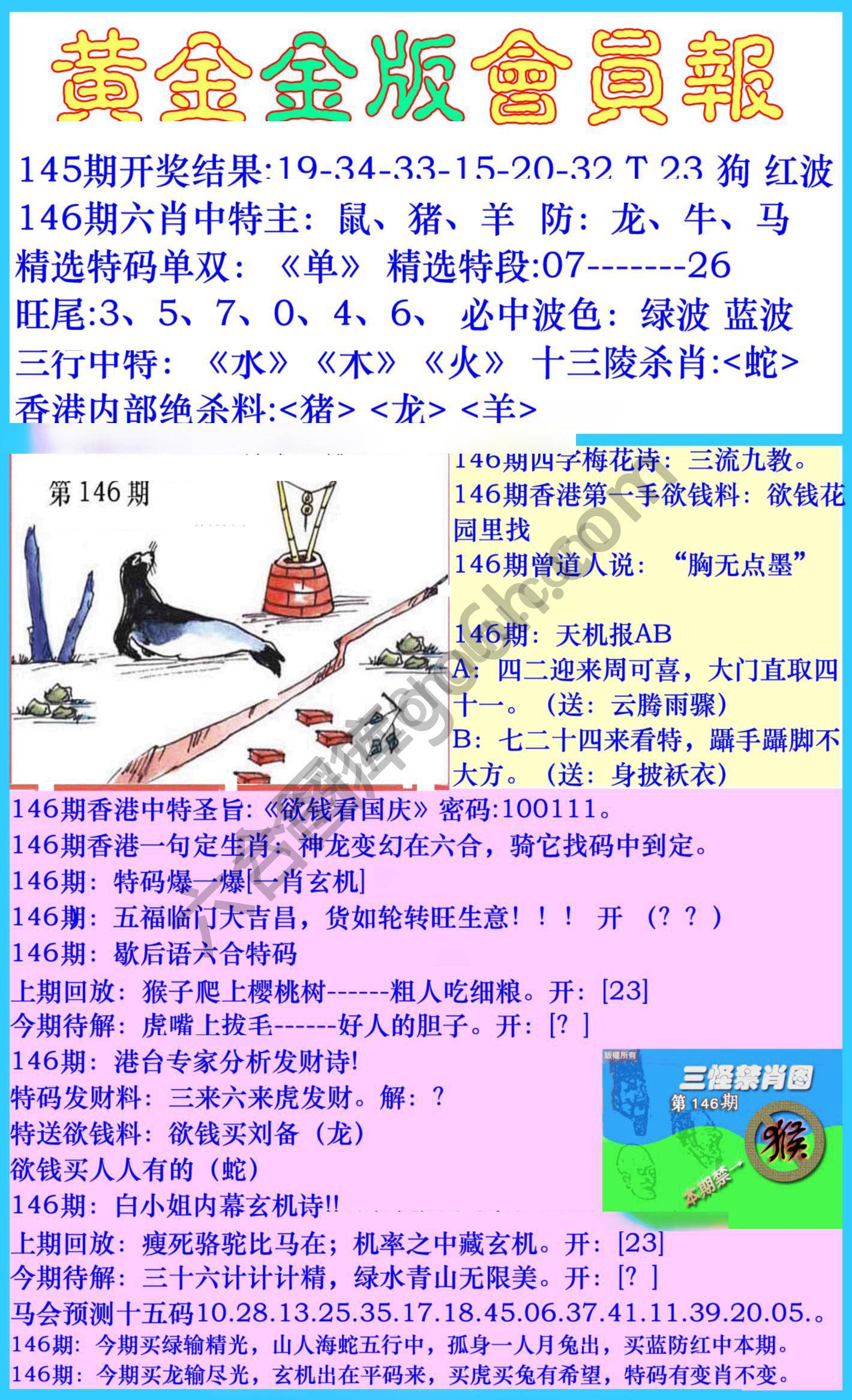 黄金金版会员报