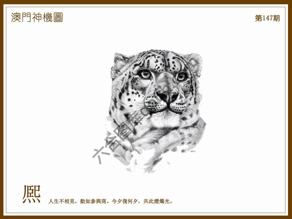 澳门神机图
