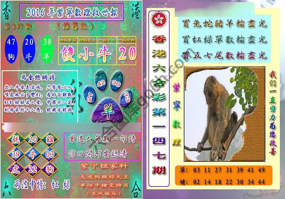 数理救世报