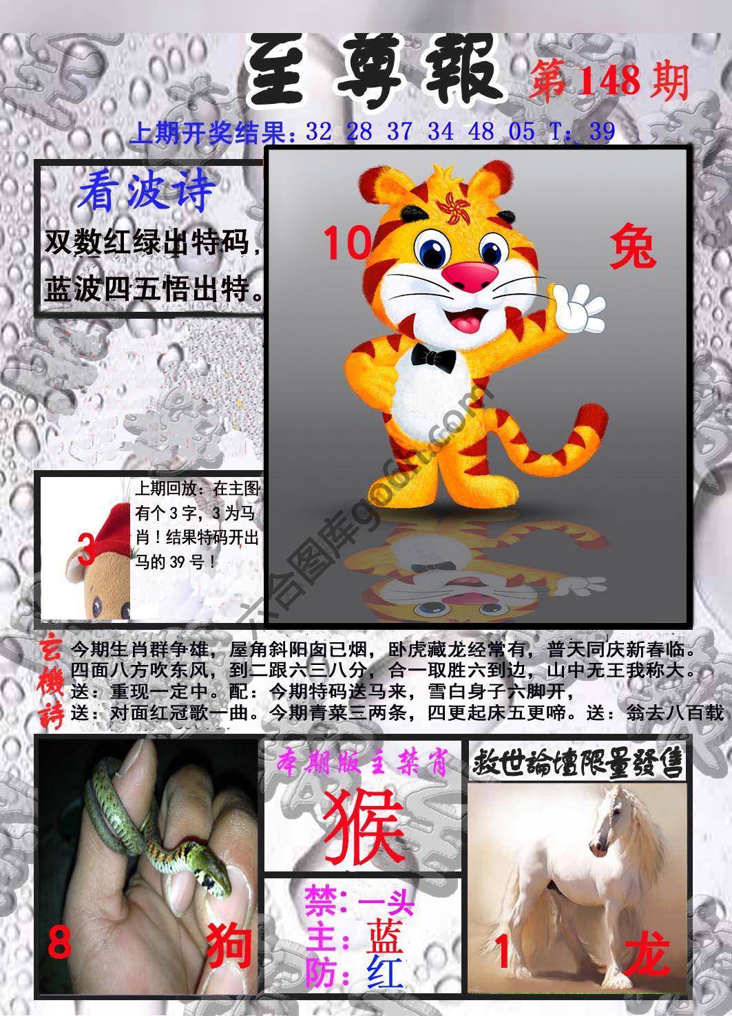 至尊报