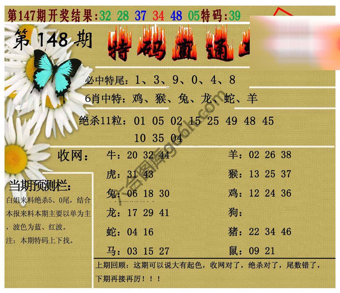 特码直通车