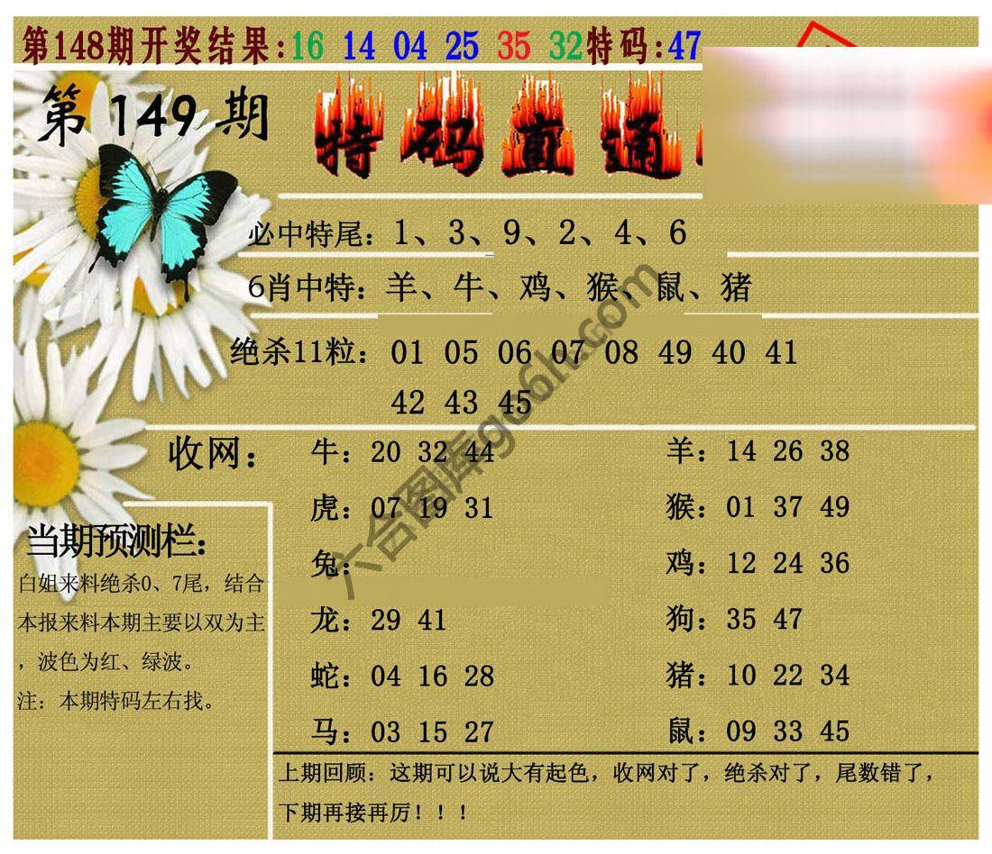 特码直通车
