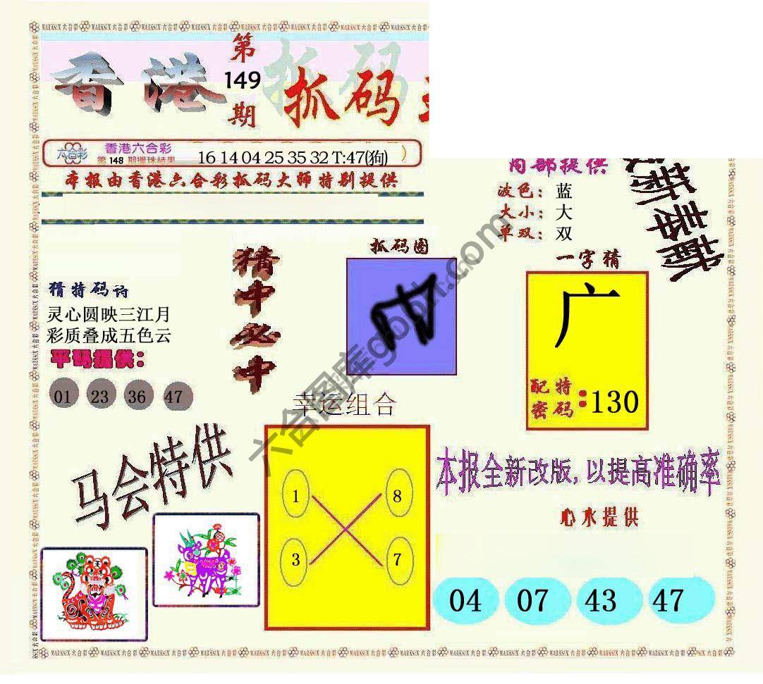 新抓码王