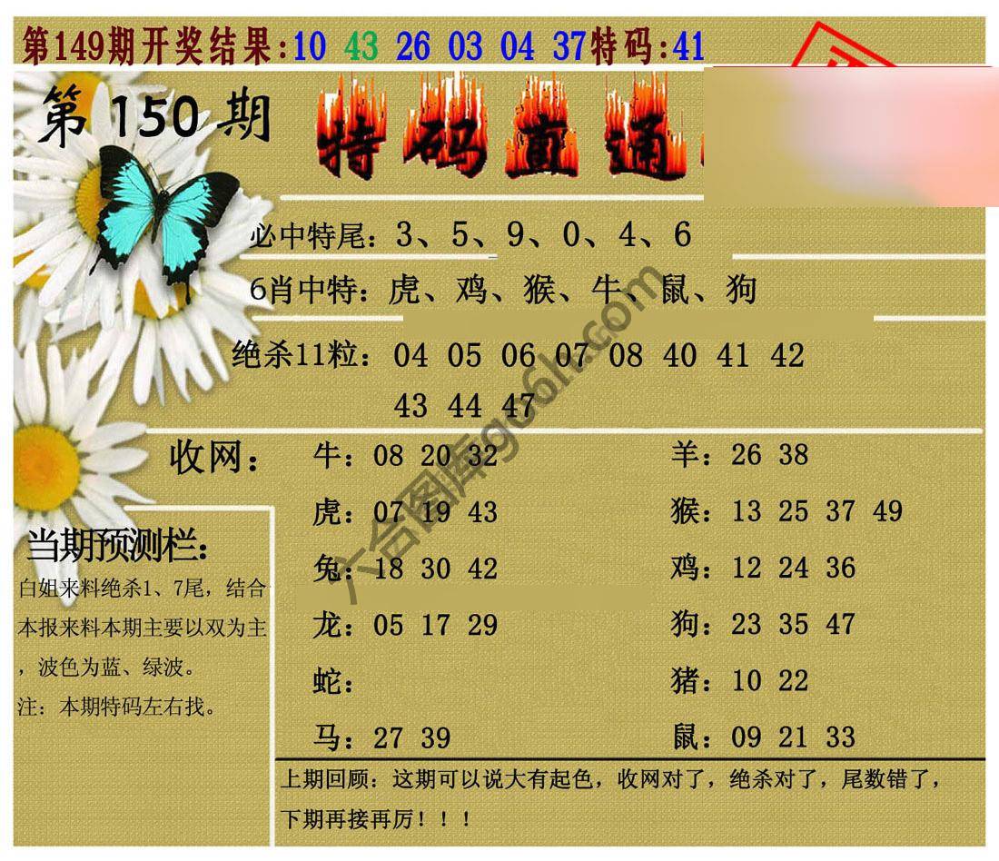 特码直通车