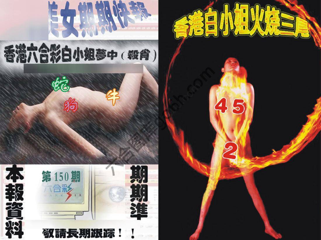环球美女特码报