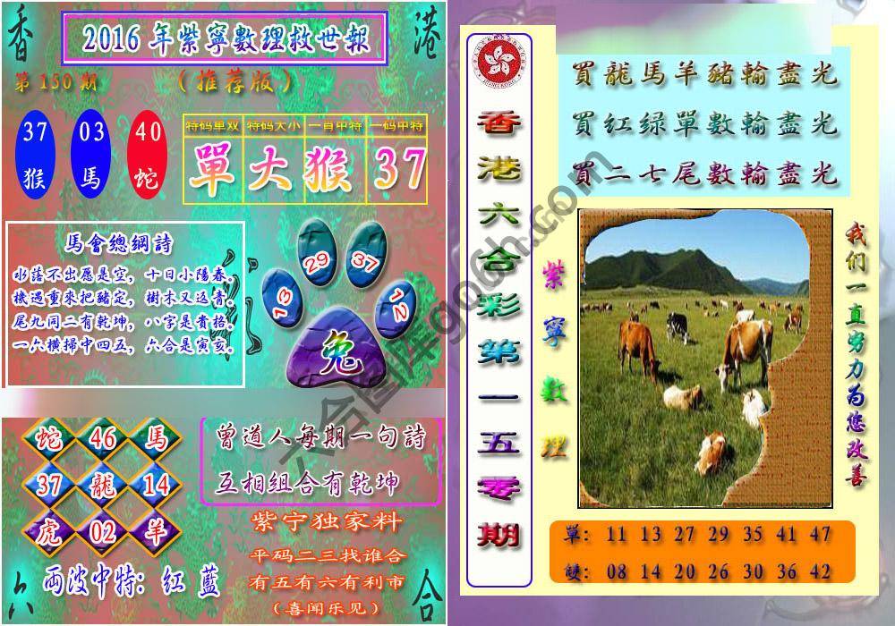 数理救世报