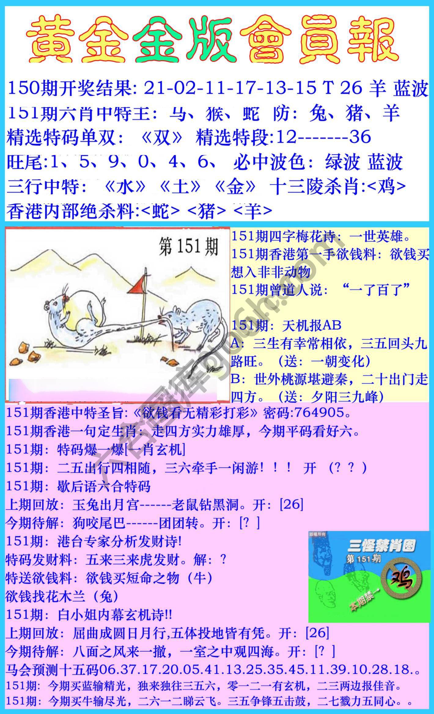 黄金金版会员报