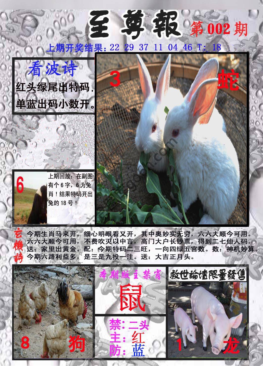 至尊报