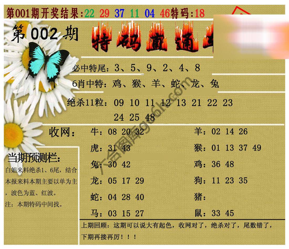 特码直通车