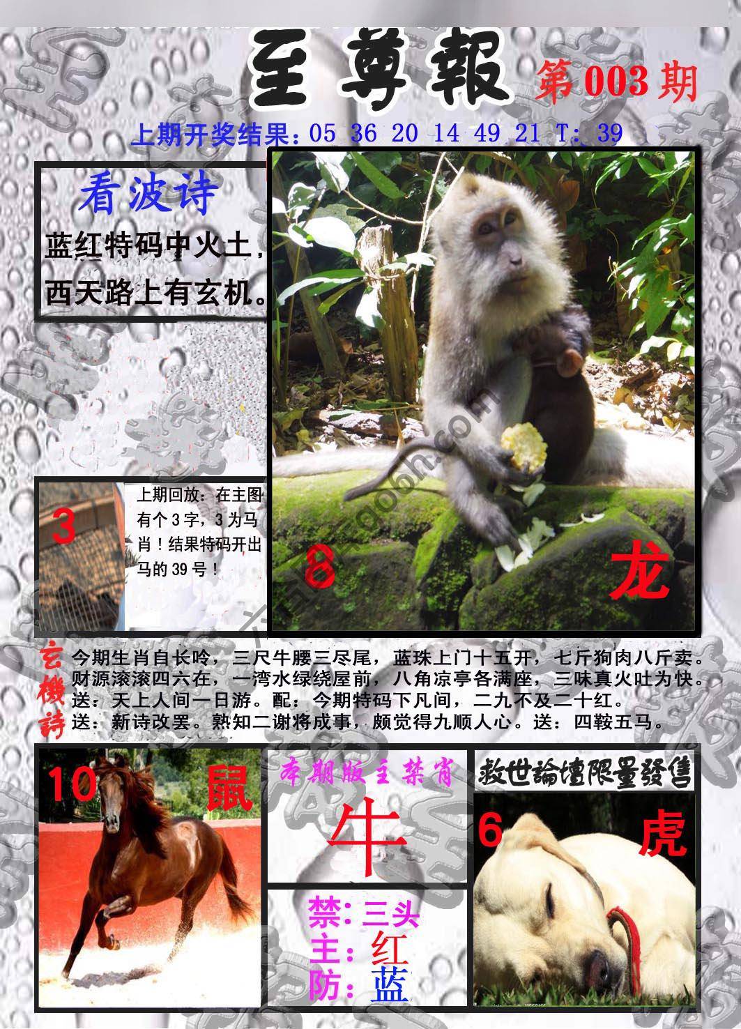 至尊报