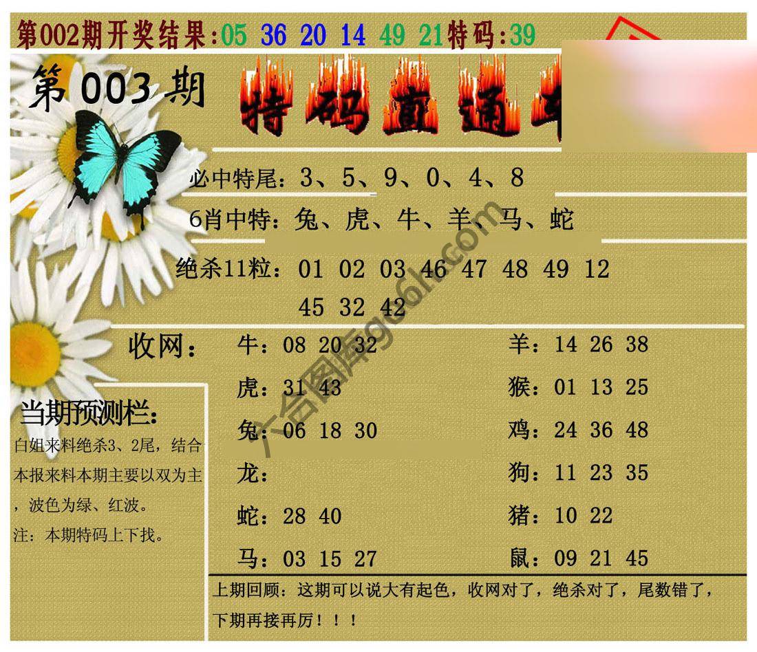 特码直通车