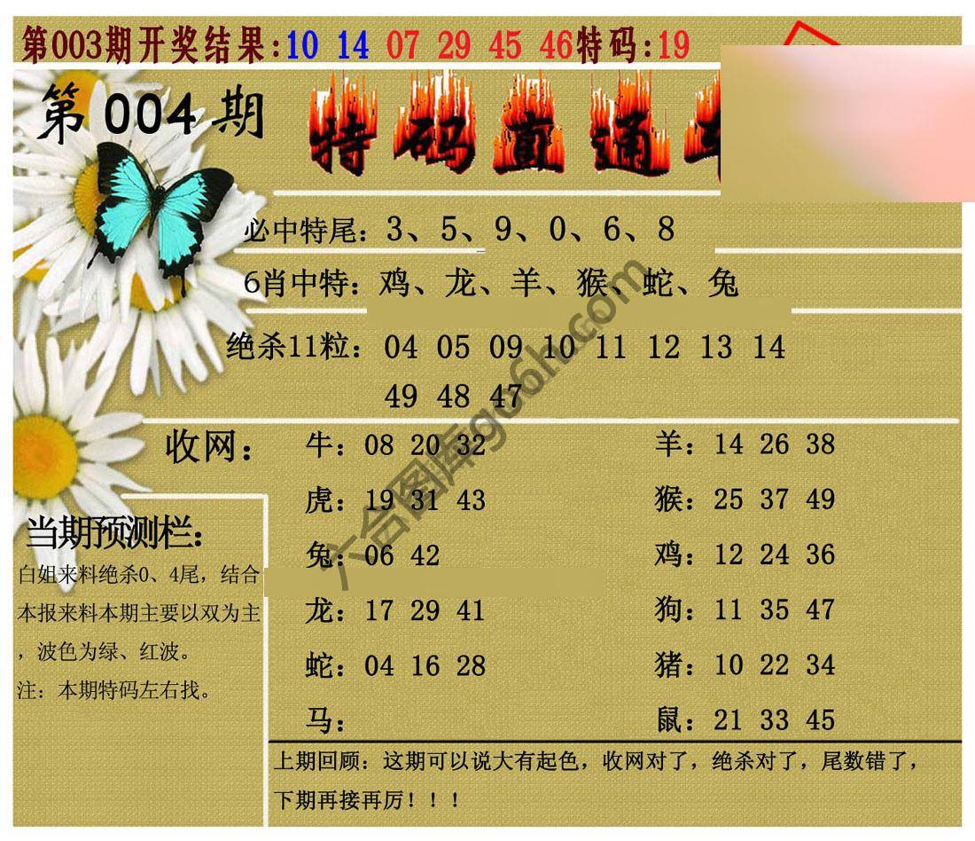 特码直通车