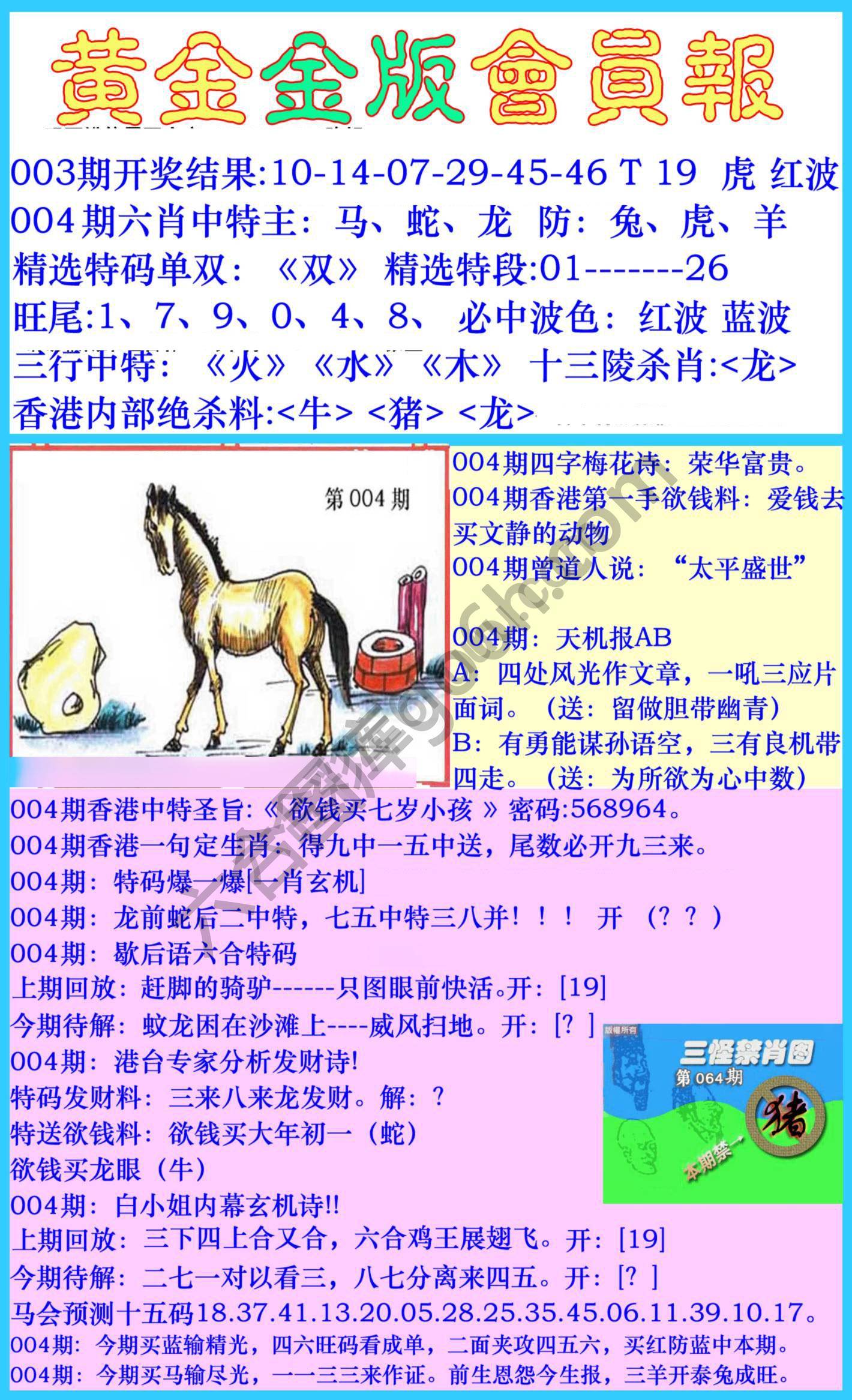 黄金金版会员报