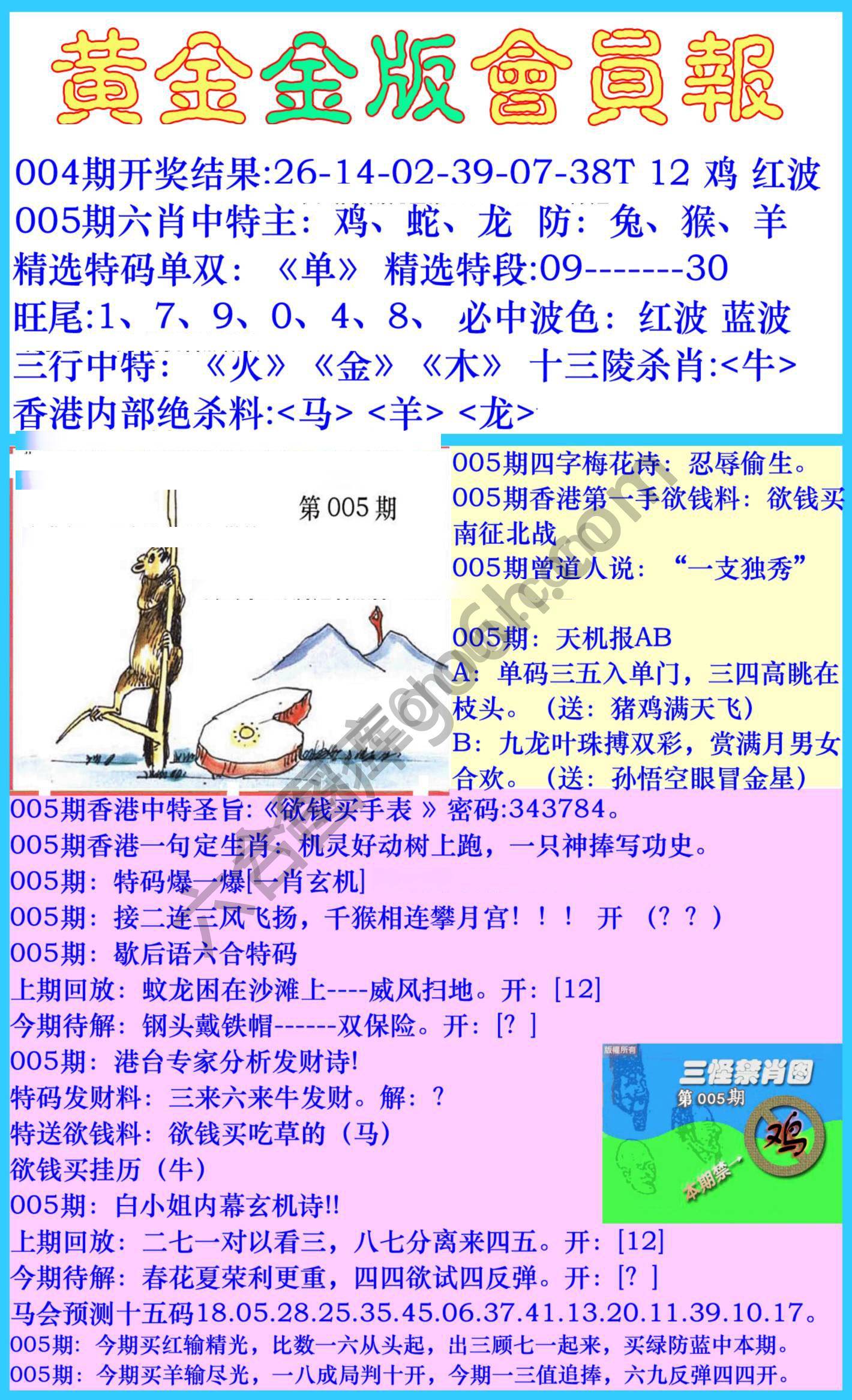 黄金金版会员报