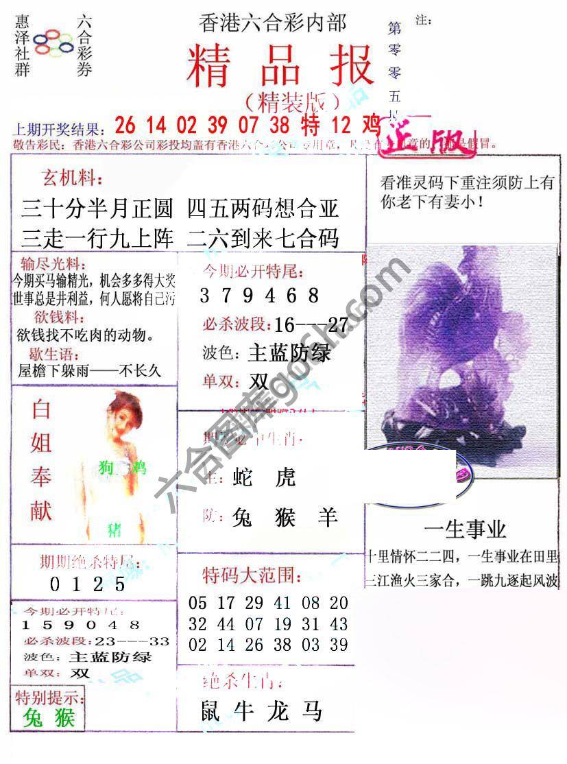 新精品报