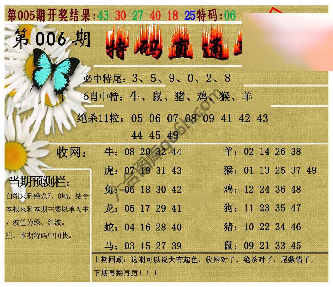 特码直通车