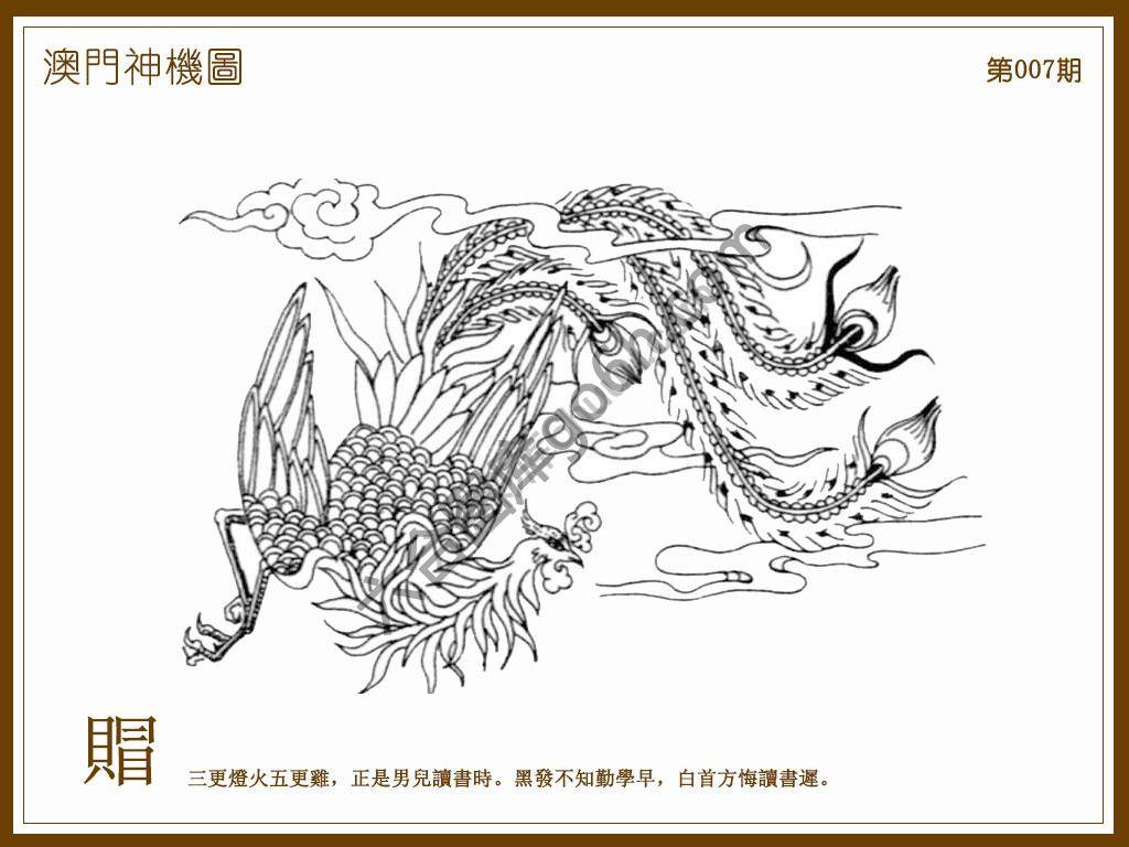 澳门神机图