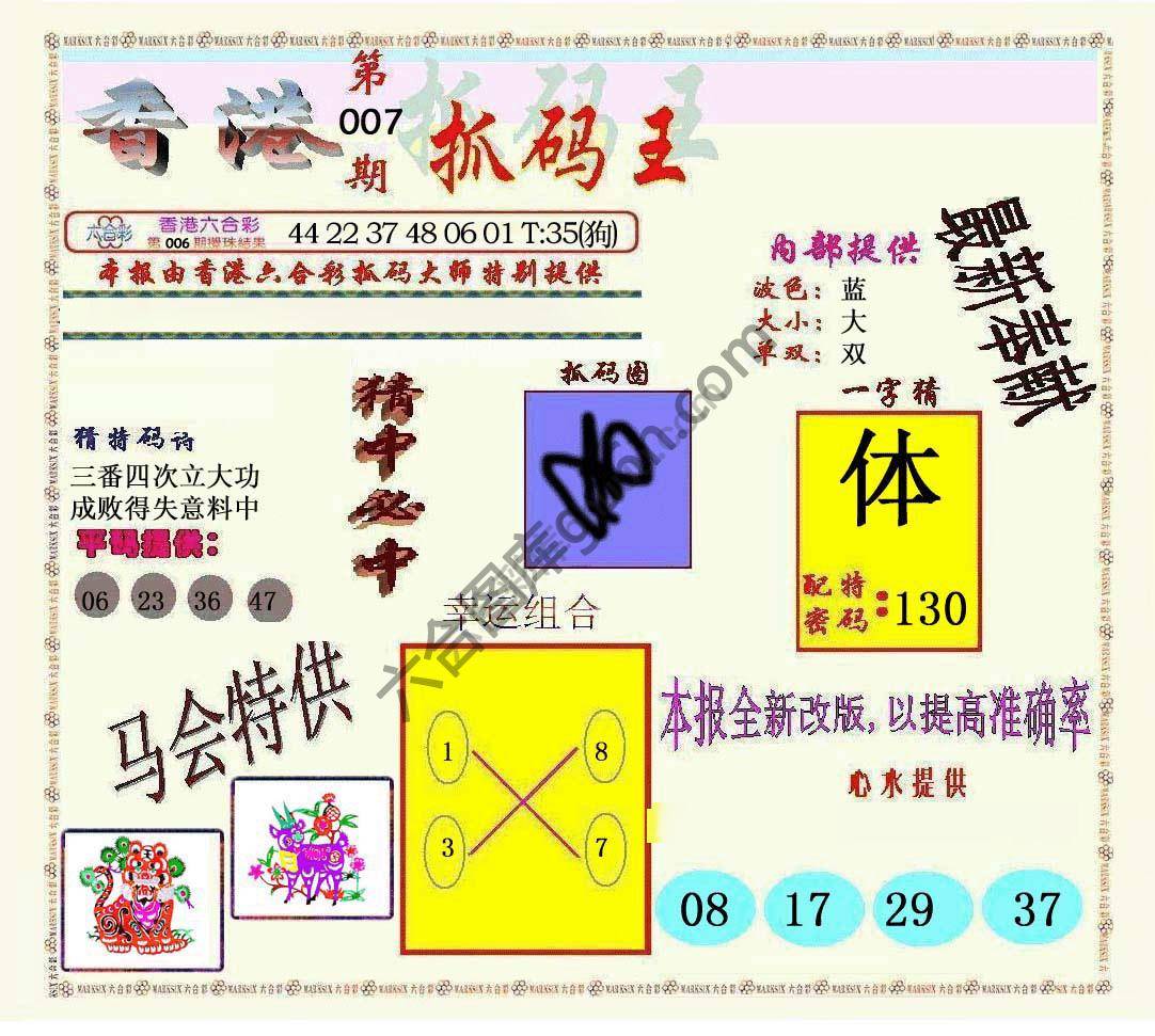 新抓码王