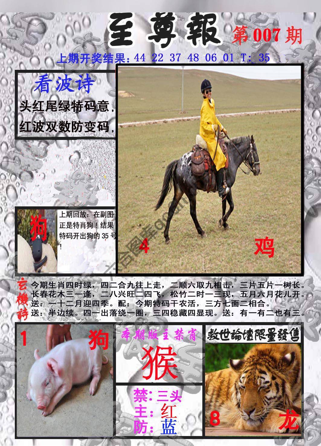 至尊报