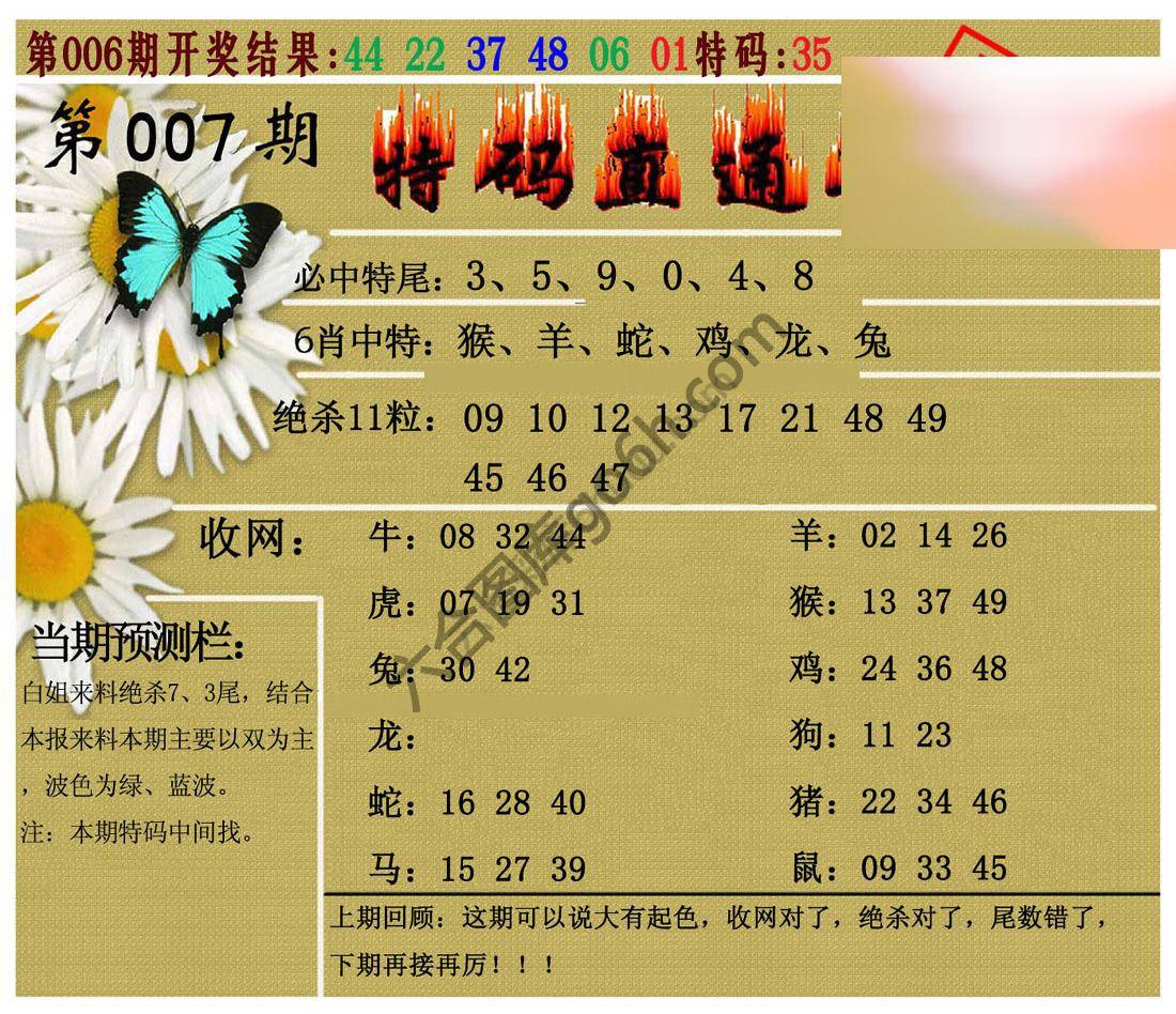 特码直通车